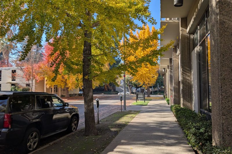 A sunlit urban sidewalk lined with vibrant autumn trees and 1787677299
